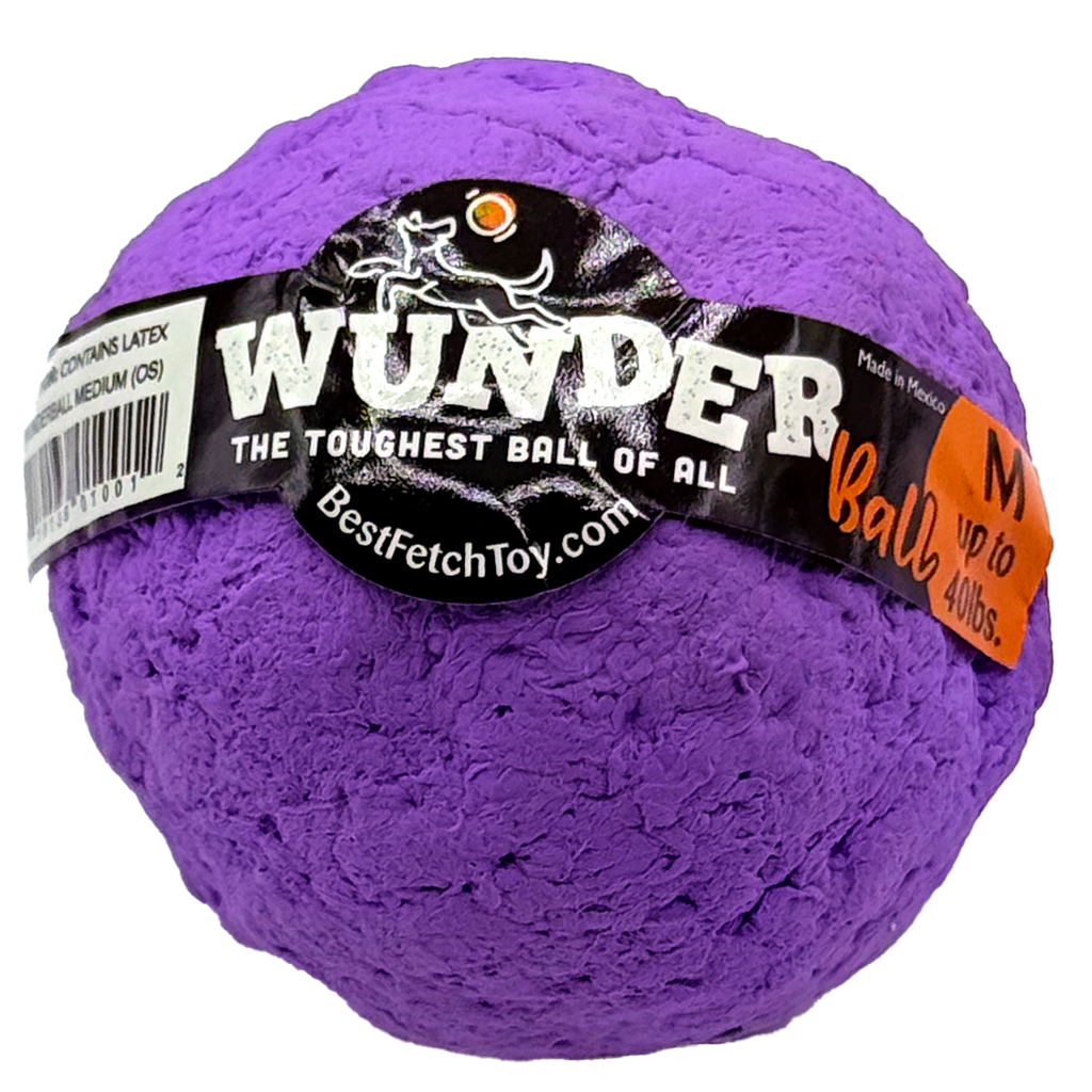 WUNDERball Natural Rubber Fetch Toy for Dogs
