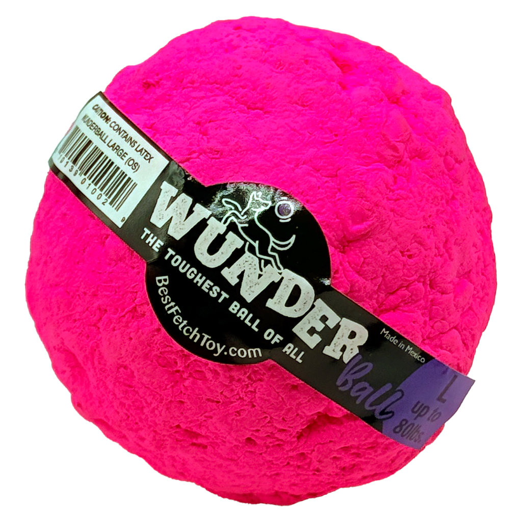 WUNDERball Natural Rubber Fetch Toy for Dogs