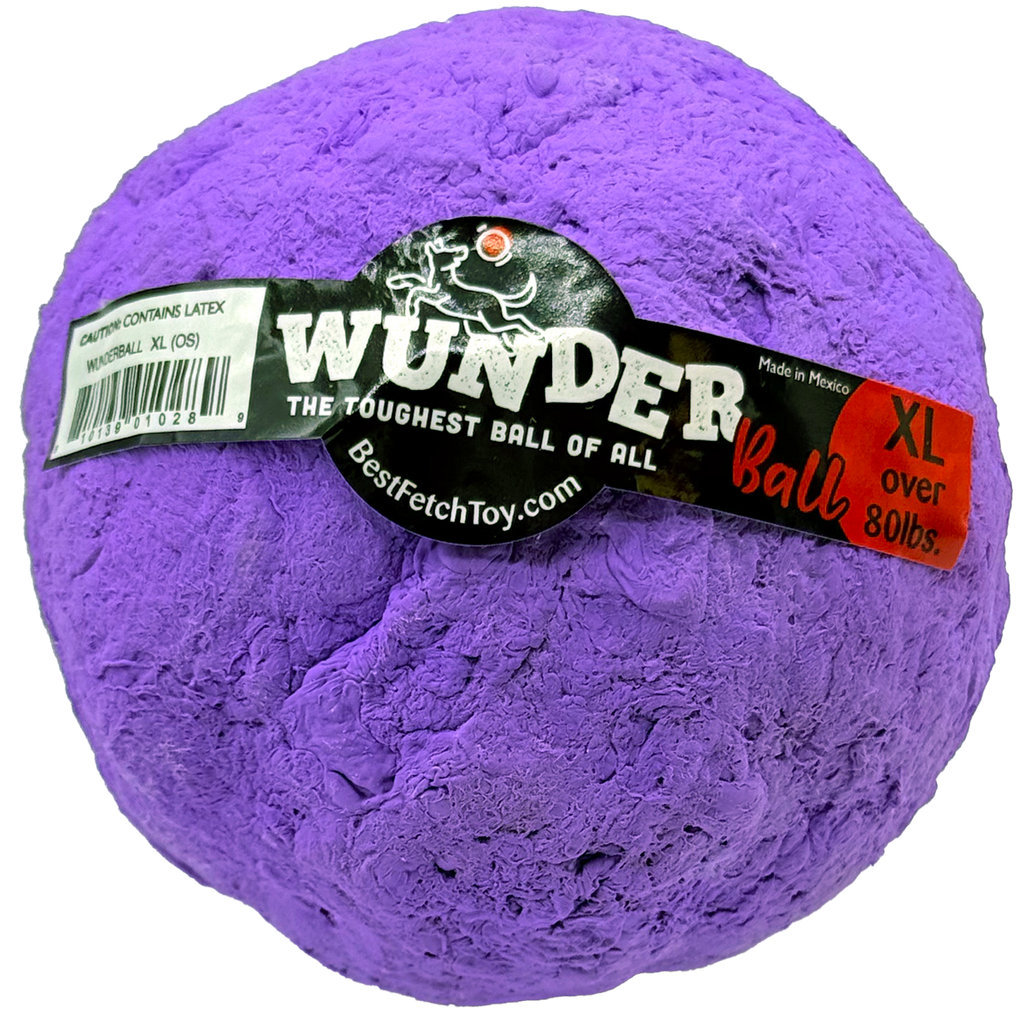 WUNDERball Natural Rubber Fetch Toy for Dogs