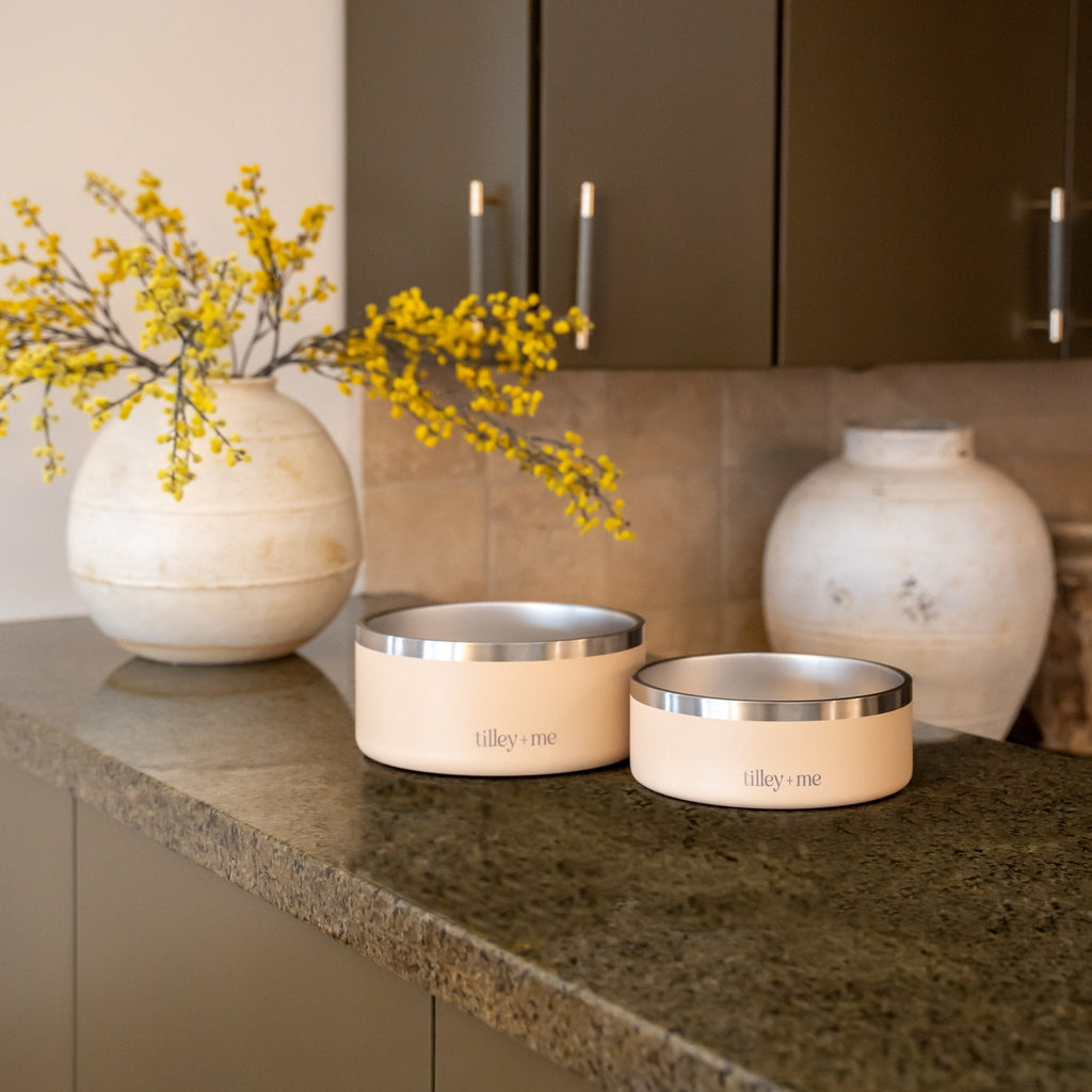 Stainless Steel Pet Bowl (Non-Slip, Dishwasher Safe)