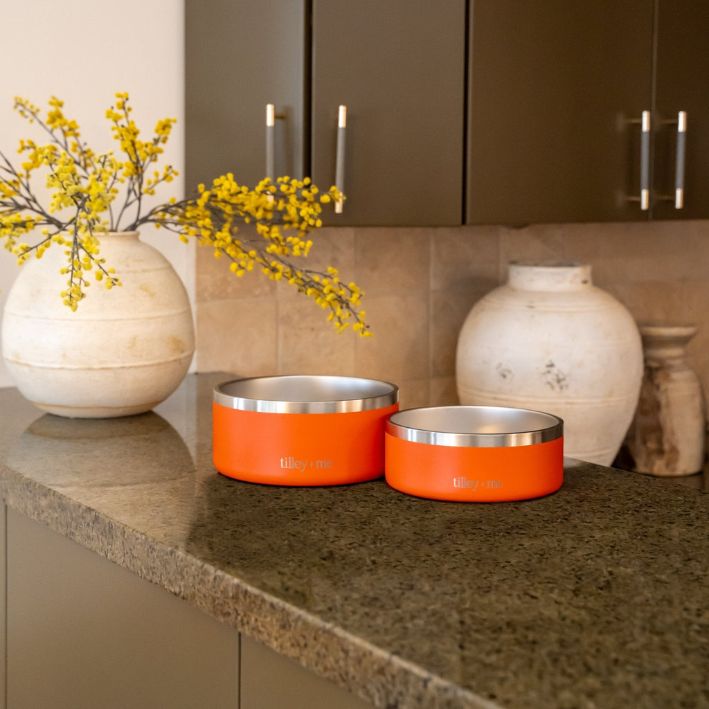 Stainless Steel Pet Bowl (Non-Slip, Dishwasher Safe)