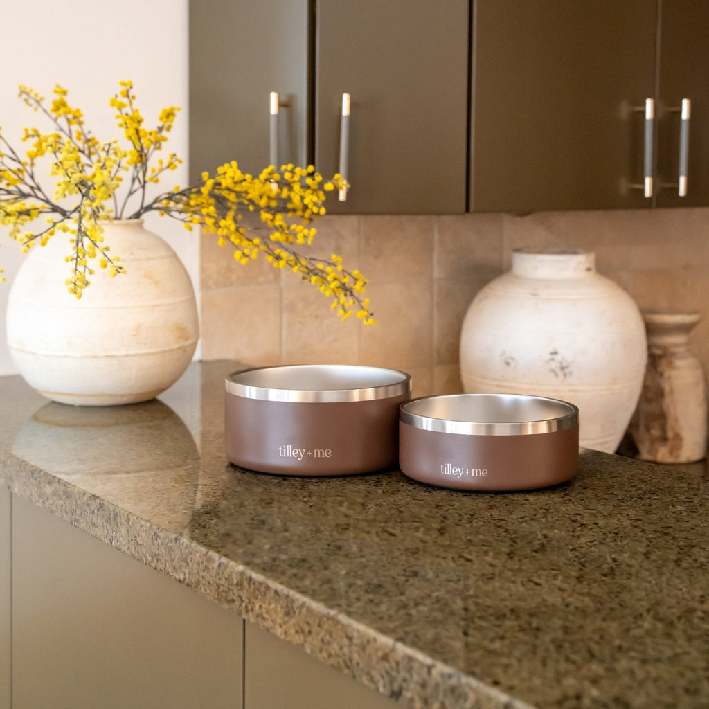 Stainless Steel Pet Bowl (Non-Slip, Dishwasher Safe)