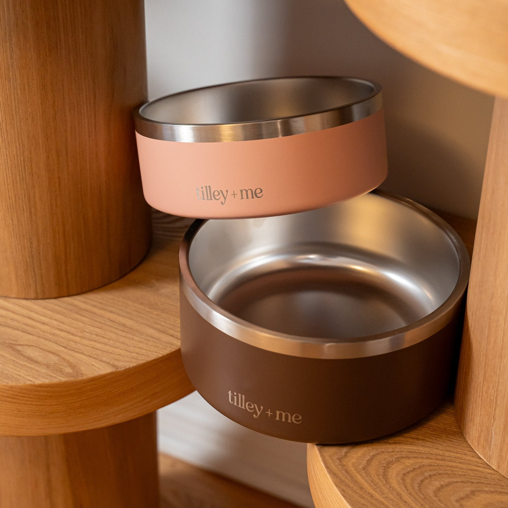 Stainless Steel Pet Bowl (Non-Slip, Dishwasher Safe)