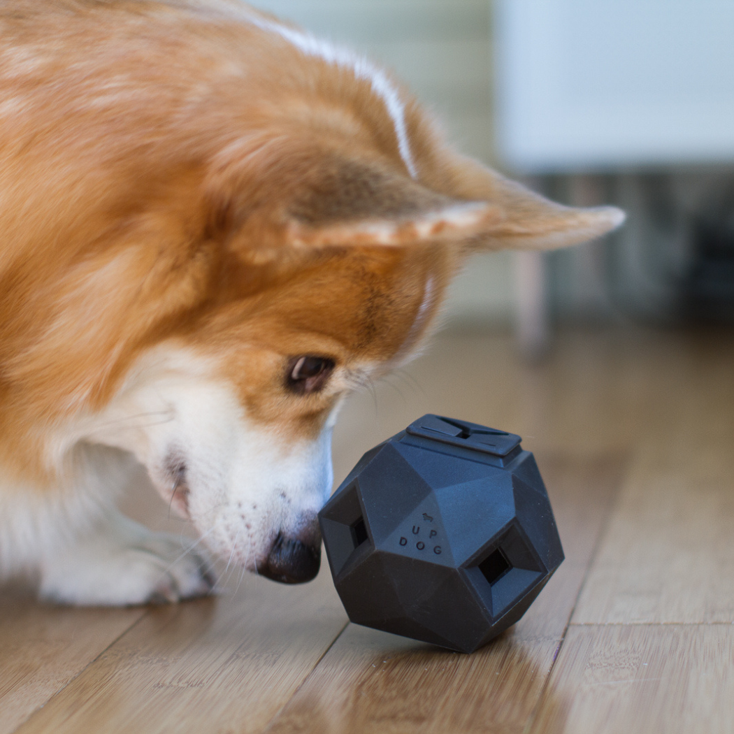 Odin Treat Dispensing Dog Toy