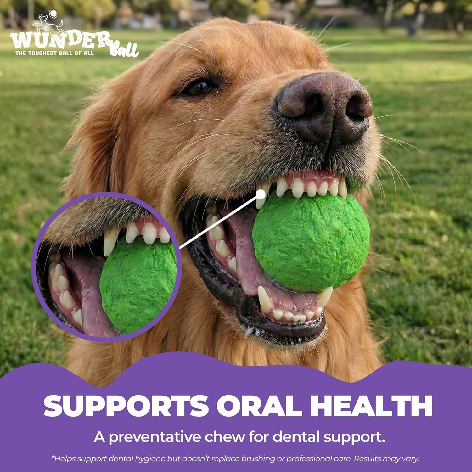 WUNDERball Natural Rubber Fetch Toy for Dogs