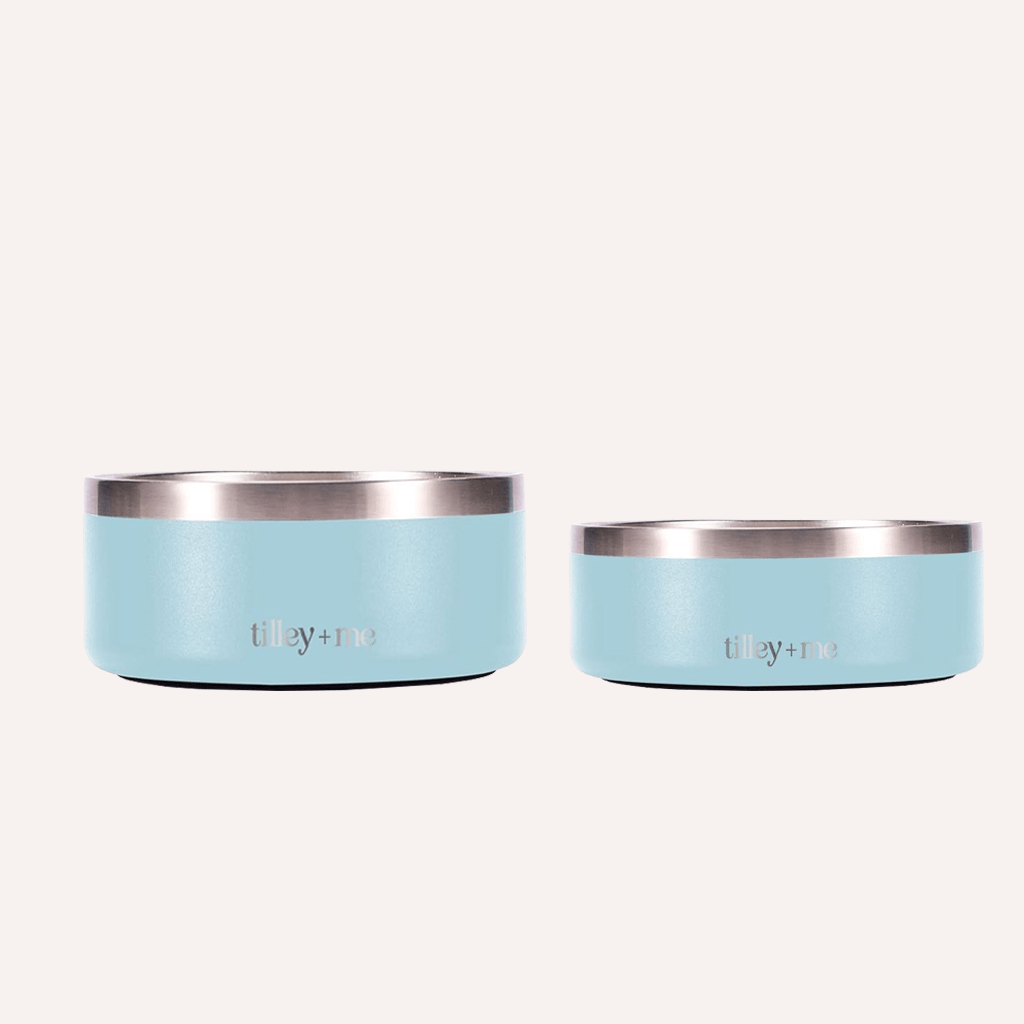 Stainless Steel Pet Bowl (Non-Slip, Dishwasher Safe)
