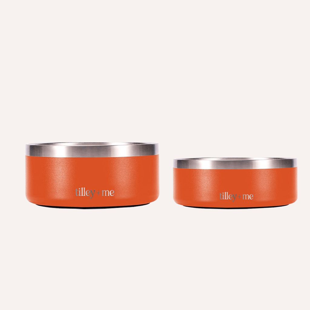 Stainless Steel Pet Bowl (Non-Slip, Dishwasher Safe)