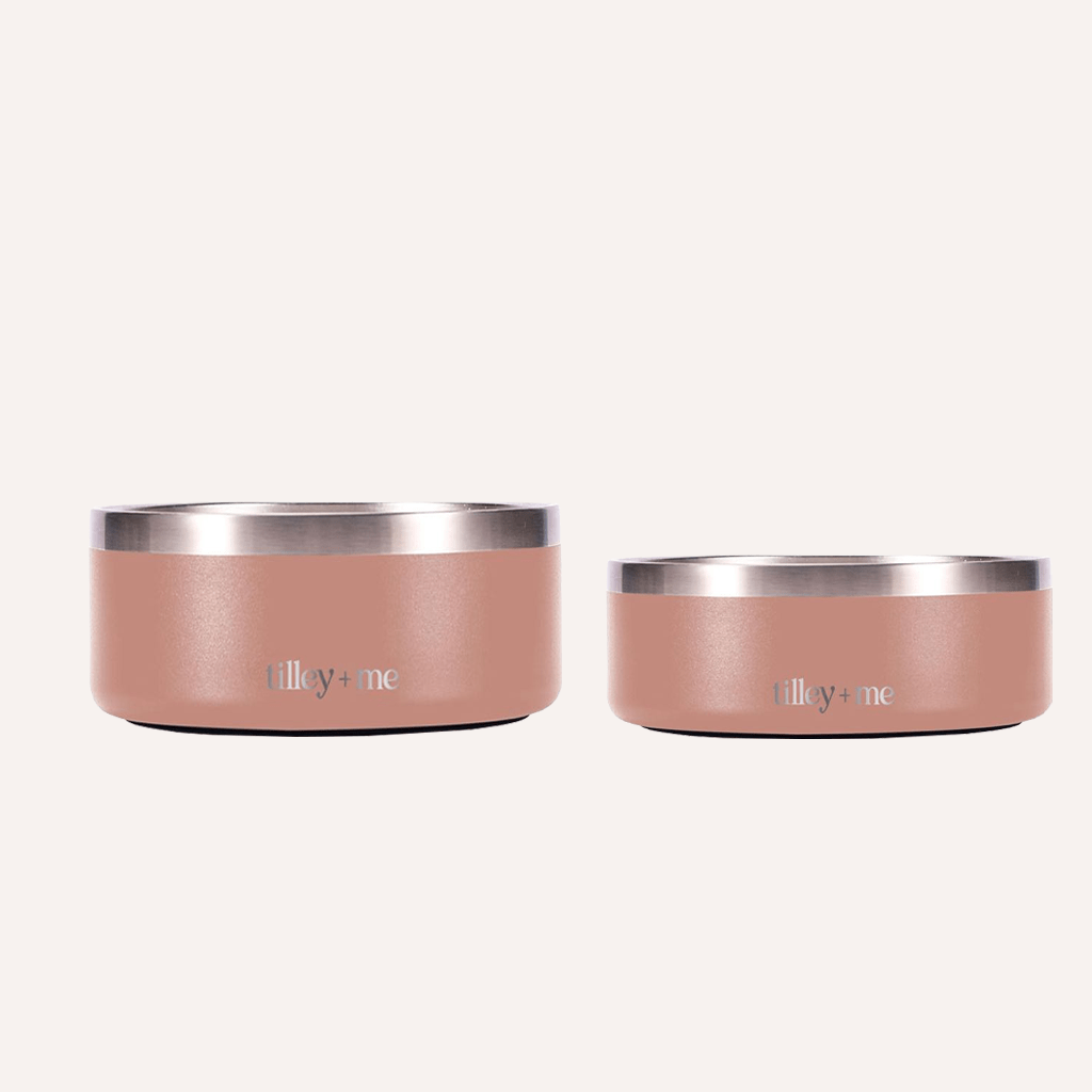 Stainless Steel Pet Bowl (Non-Slip, Dishwasher Safe)