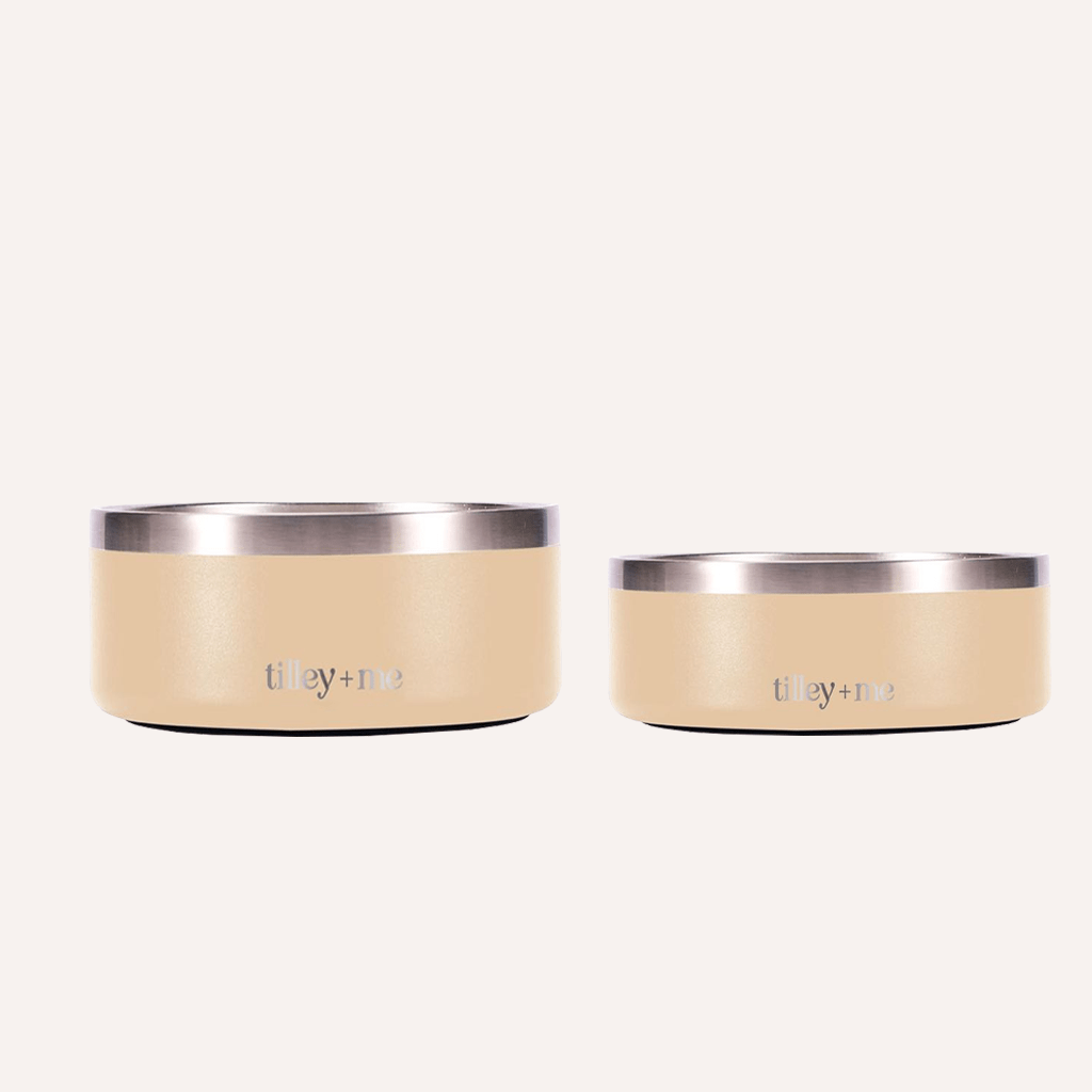 Stainless Steel Pet Bowl (Non-Slip, Dishwasher Safe)