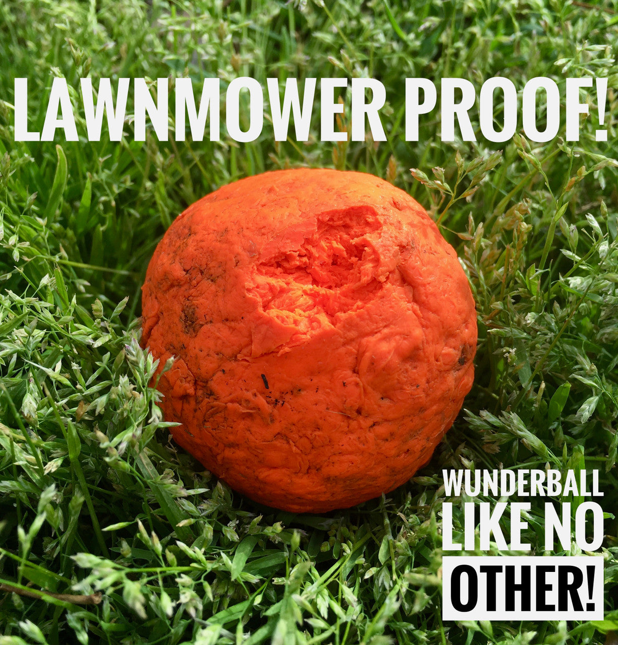 WUNDERball Natural Rubber Fetch Toy for Dogs