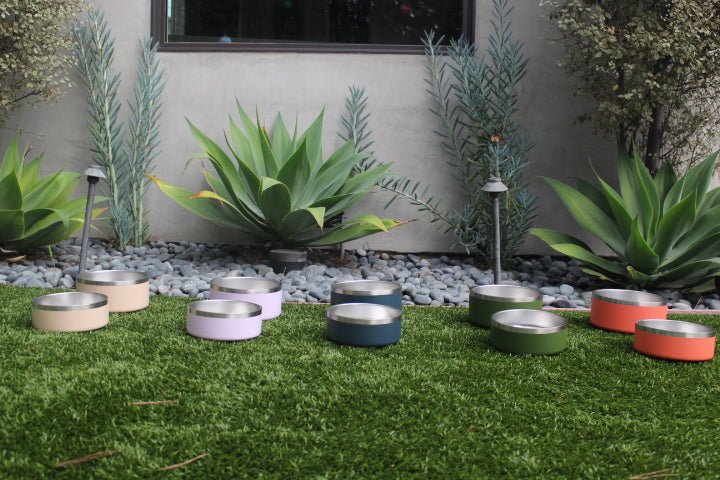 Stainless Steel Pet Bowl (Non-Slip, Dishwasher Safe)