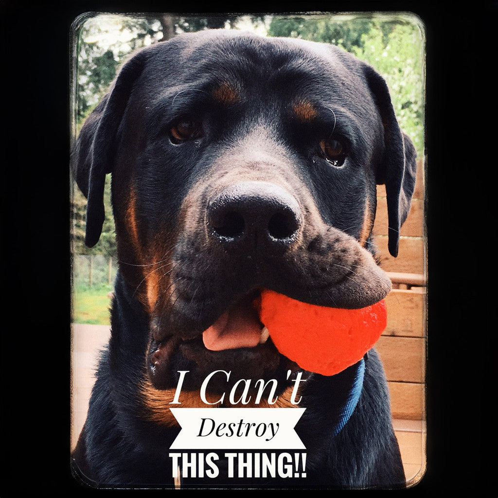 WUNDERball Natural Rubber Fetch Toy for Dogs