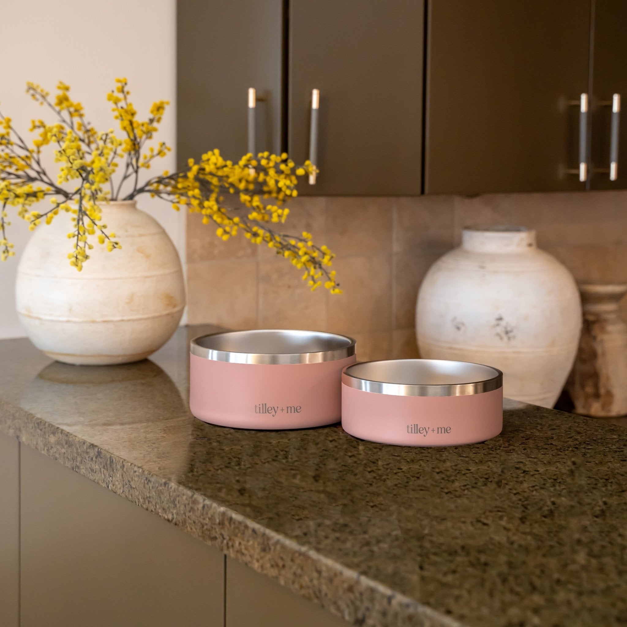 Stainless Steel Pet Bowl (Non-Slip, Dishwasher Safe)