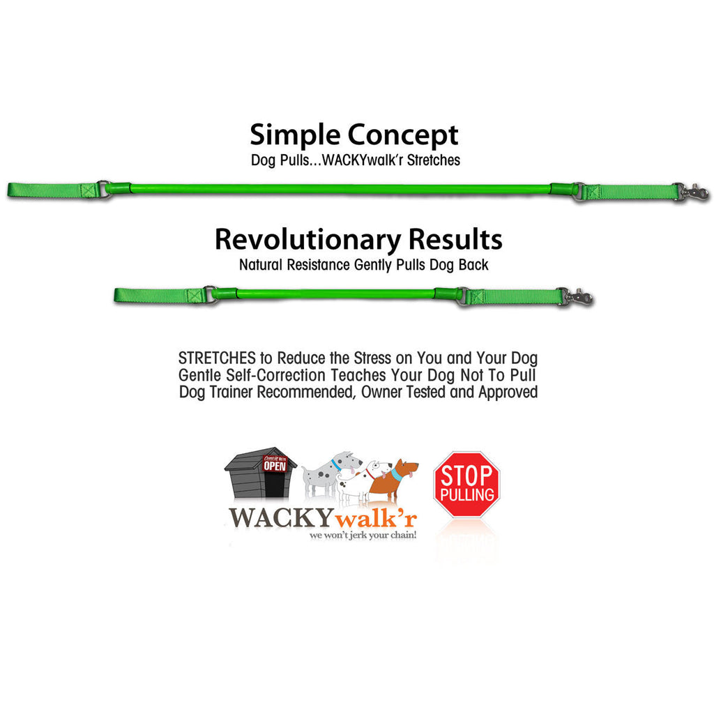 Urban Walk'r No-Pull Dog Leash (3 ft)