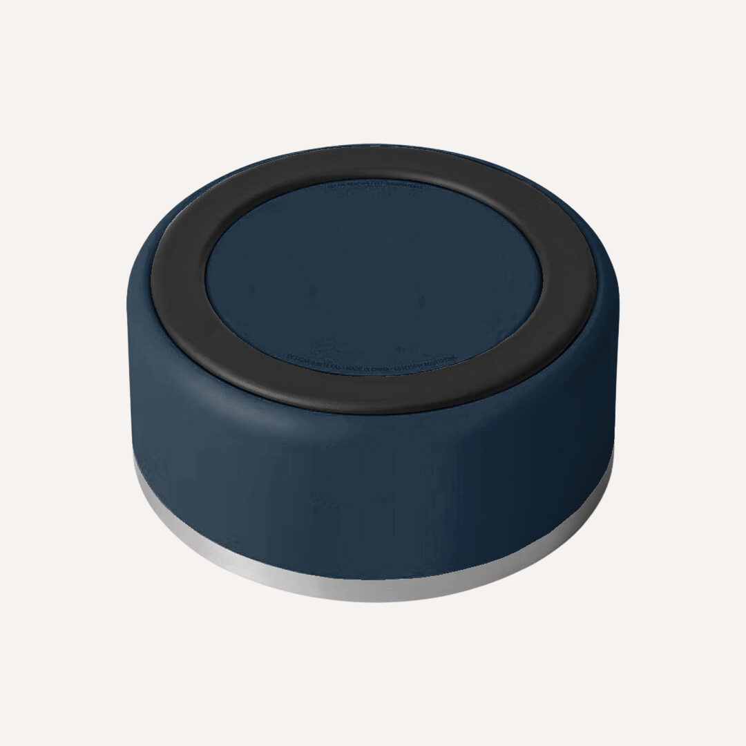 Stainless Steel Pet Bowl (Non-Slip, Dishwasher Safe)