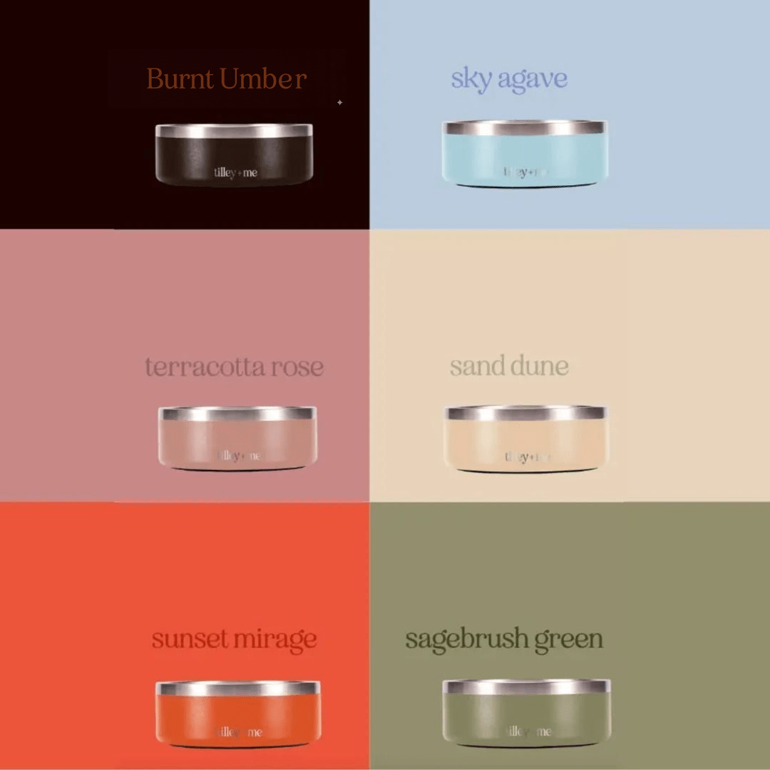 Stainless Steel Pet Bowl (Non-Slip, Dishwasher Safe)