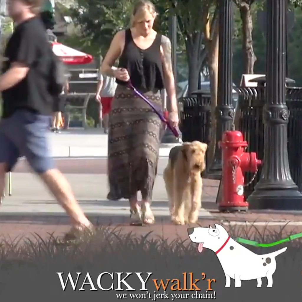Urban Walk'r No-Pull Dog Leash (3 ft)