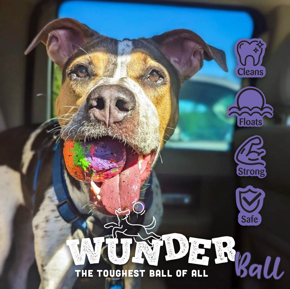 WUNDERball Natural Rubber Fetch Toy for Dogs