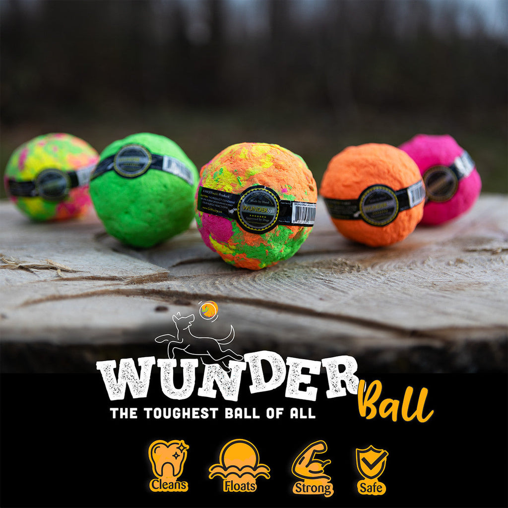 WUNDERball Natural Rubber Fetch Toy for Dogs