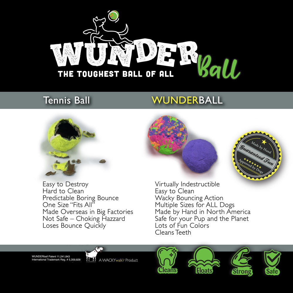 WUNDERball Natural Rubber Fetch Toy for Dogs