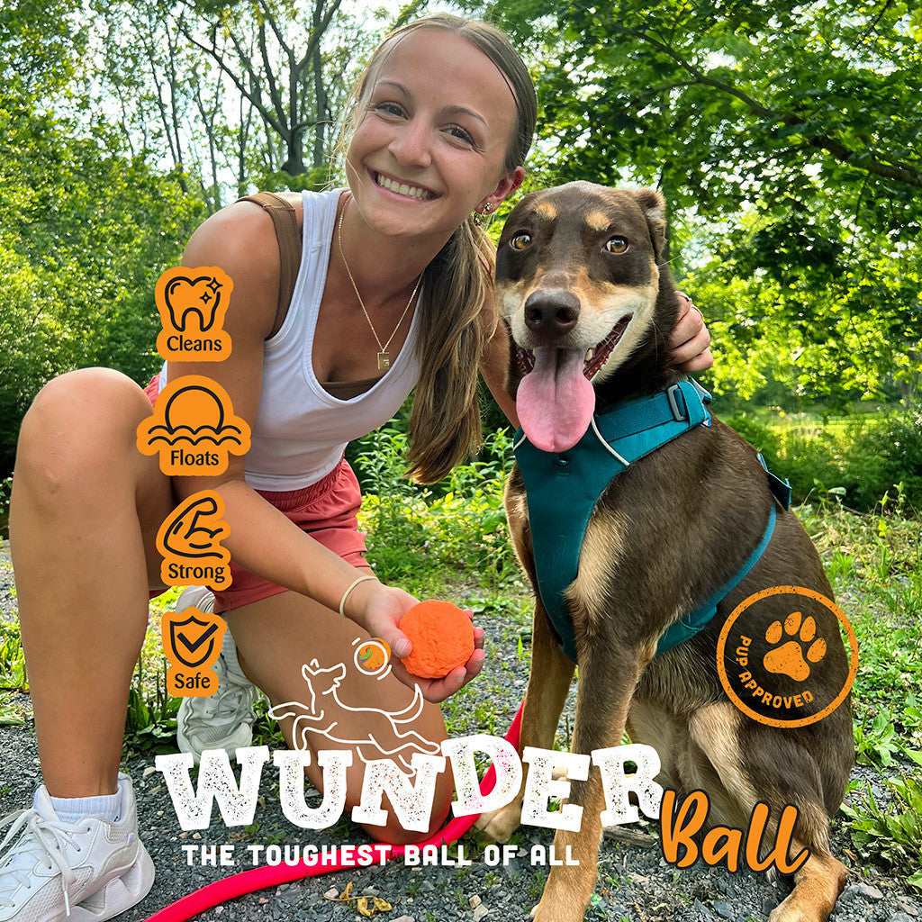 WUNDERball Natural Rubber Fetch Toy for Dogs