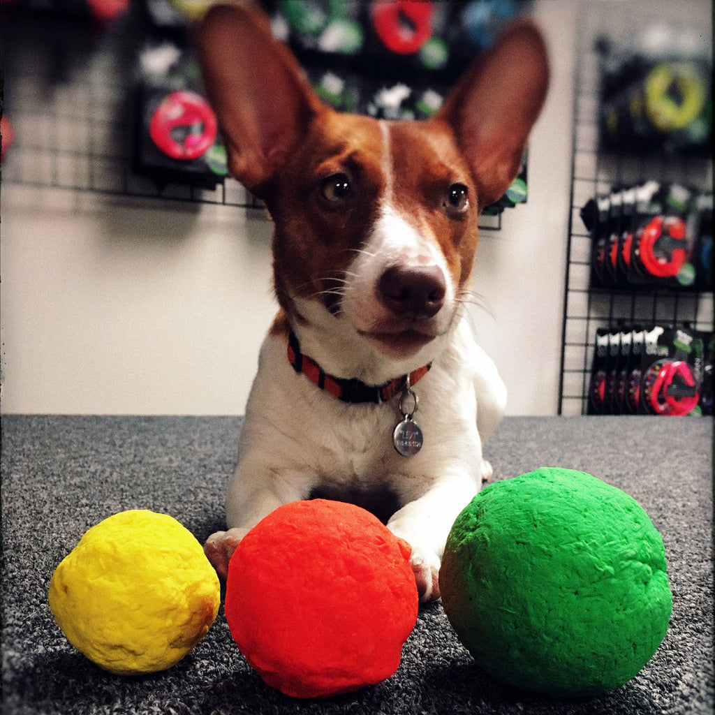 WUNDERball Natural Rubber Fetch Toy for Dogs