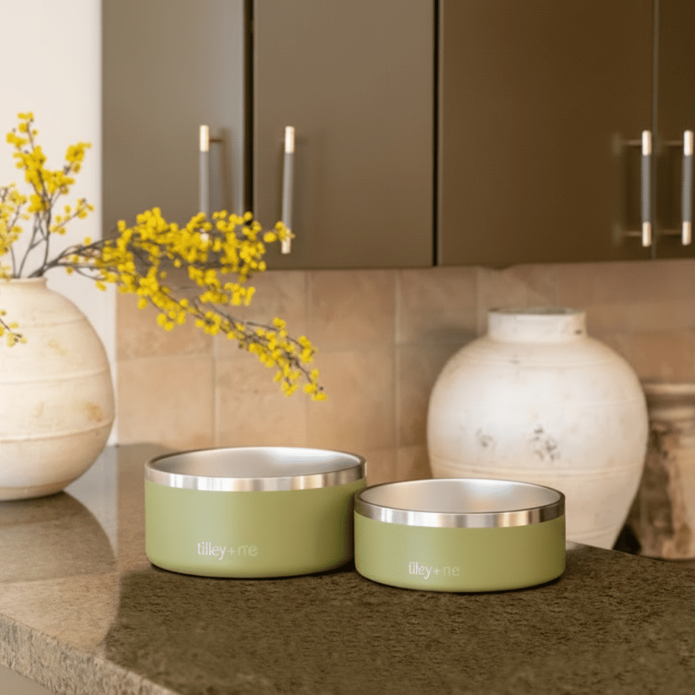 Stainless Steel Pet Bowl (Non-Slip, Dishwasher Safe)