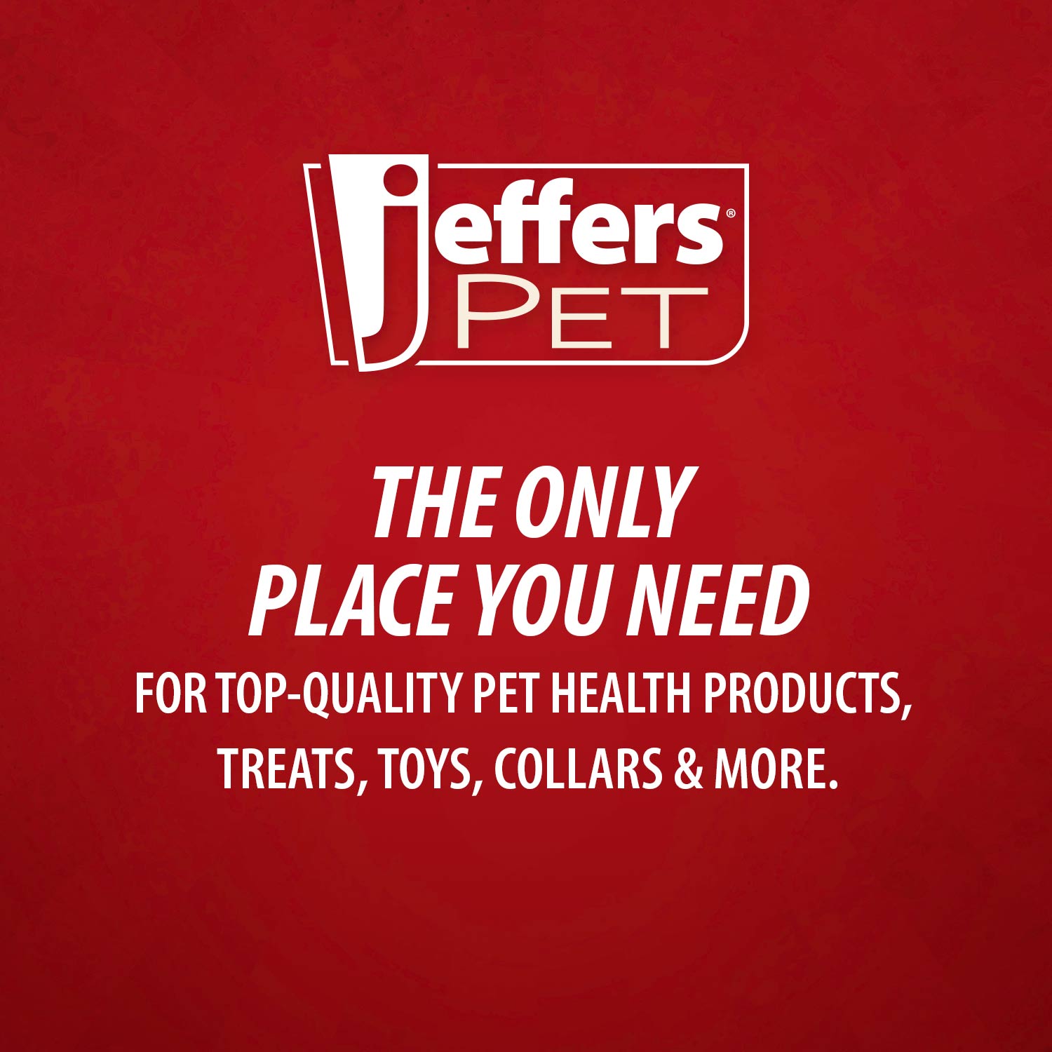 Self-Cleaning Slicker Pet Grooming Brush