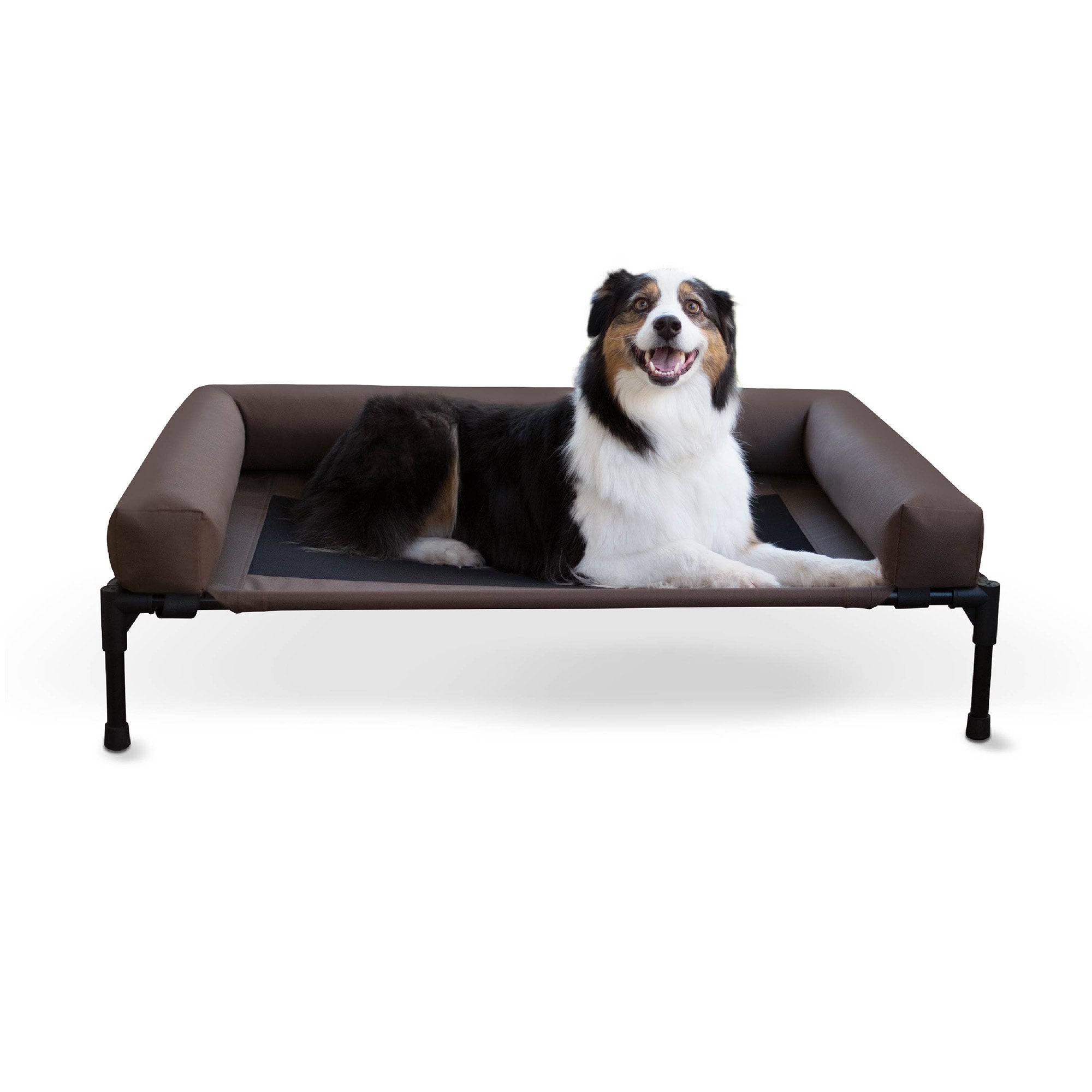 Bolster Pet Cot Elevated Dog Bed