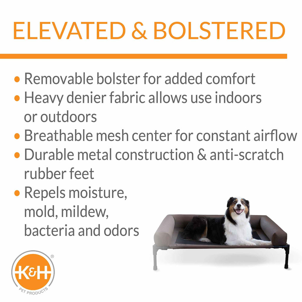 Bolster Pet Cot Elevated Dog Bed