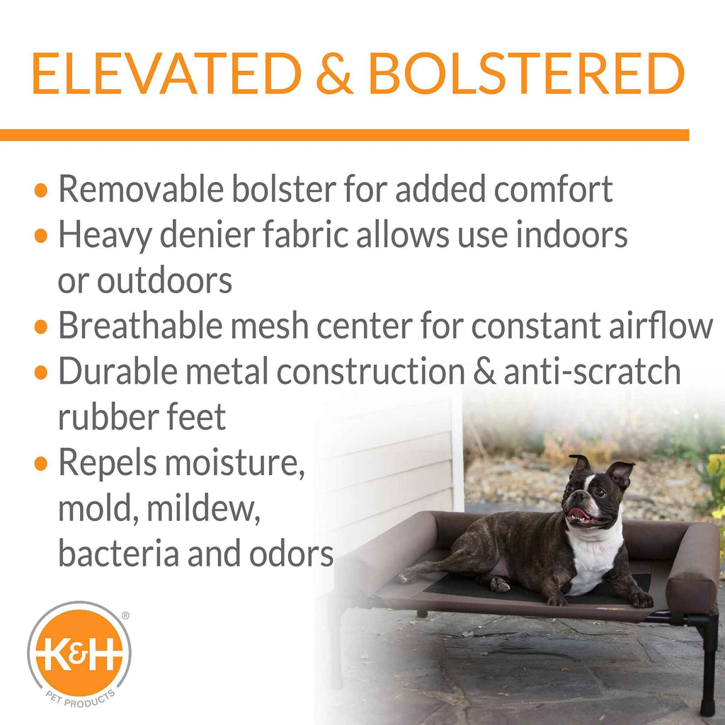 Bolster Pet Cot Elevated Dog Bed