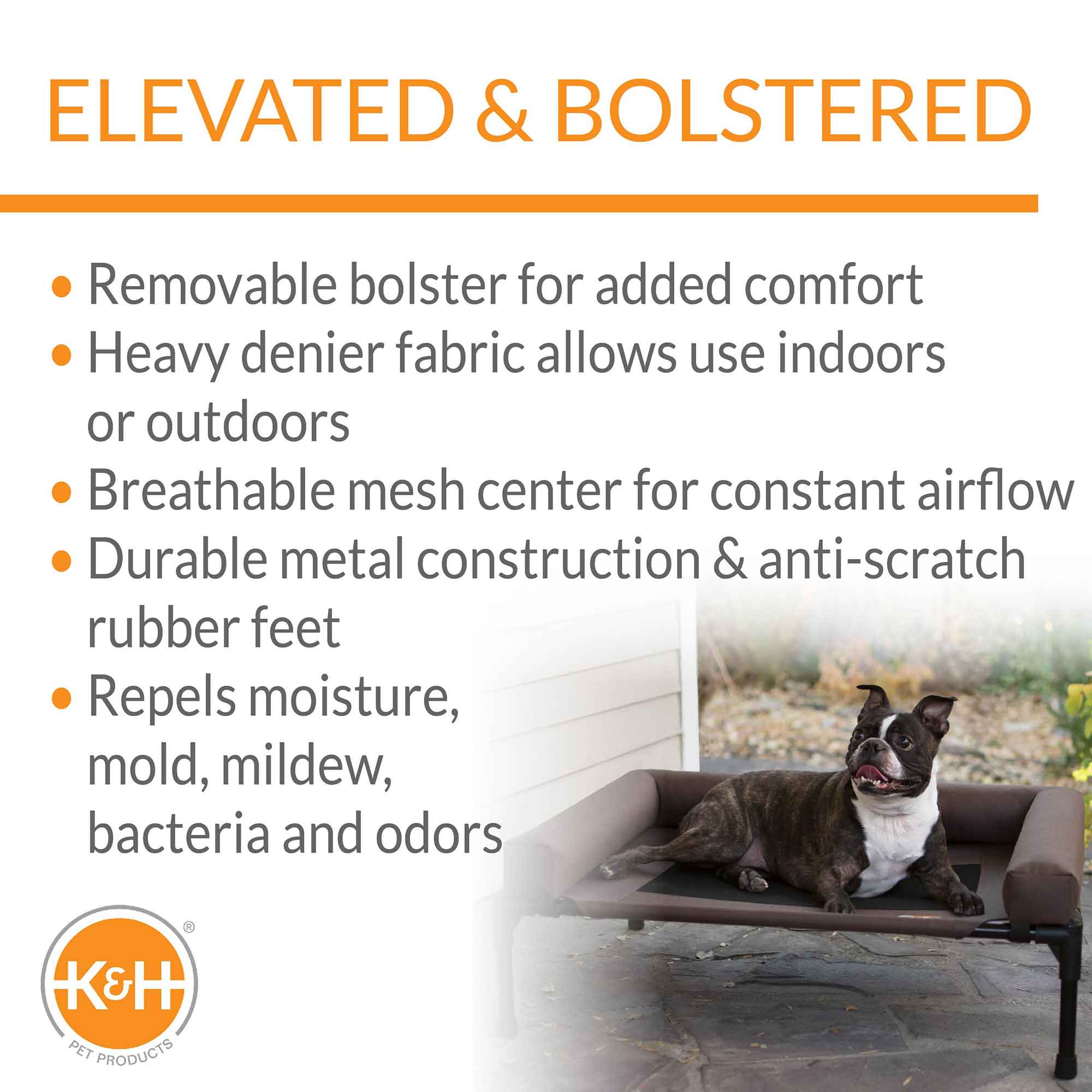 Bolster Pet Cot Elevated Dog Bed