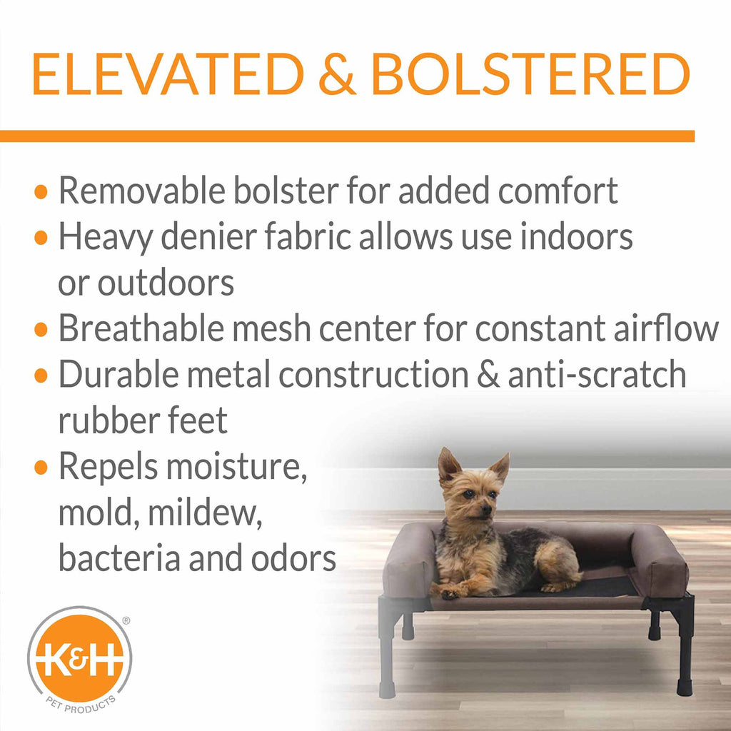 Bolster Pet Cot Elevated Dog Bed