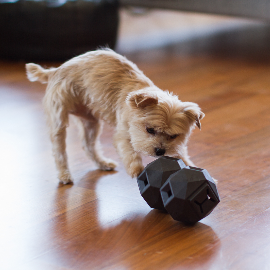 Odin Treat Dispensing Dog Toy