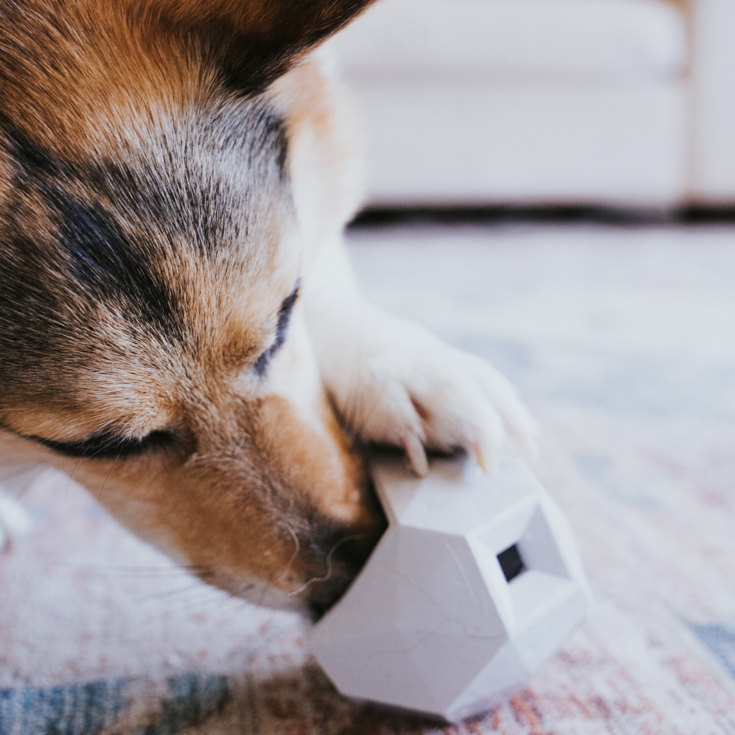 Odin Treat Dispensing Dog Toy