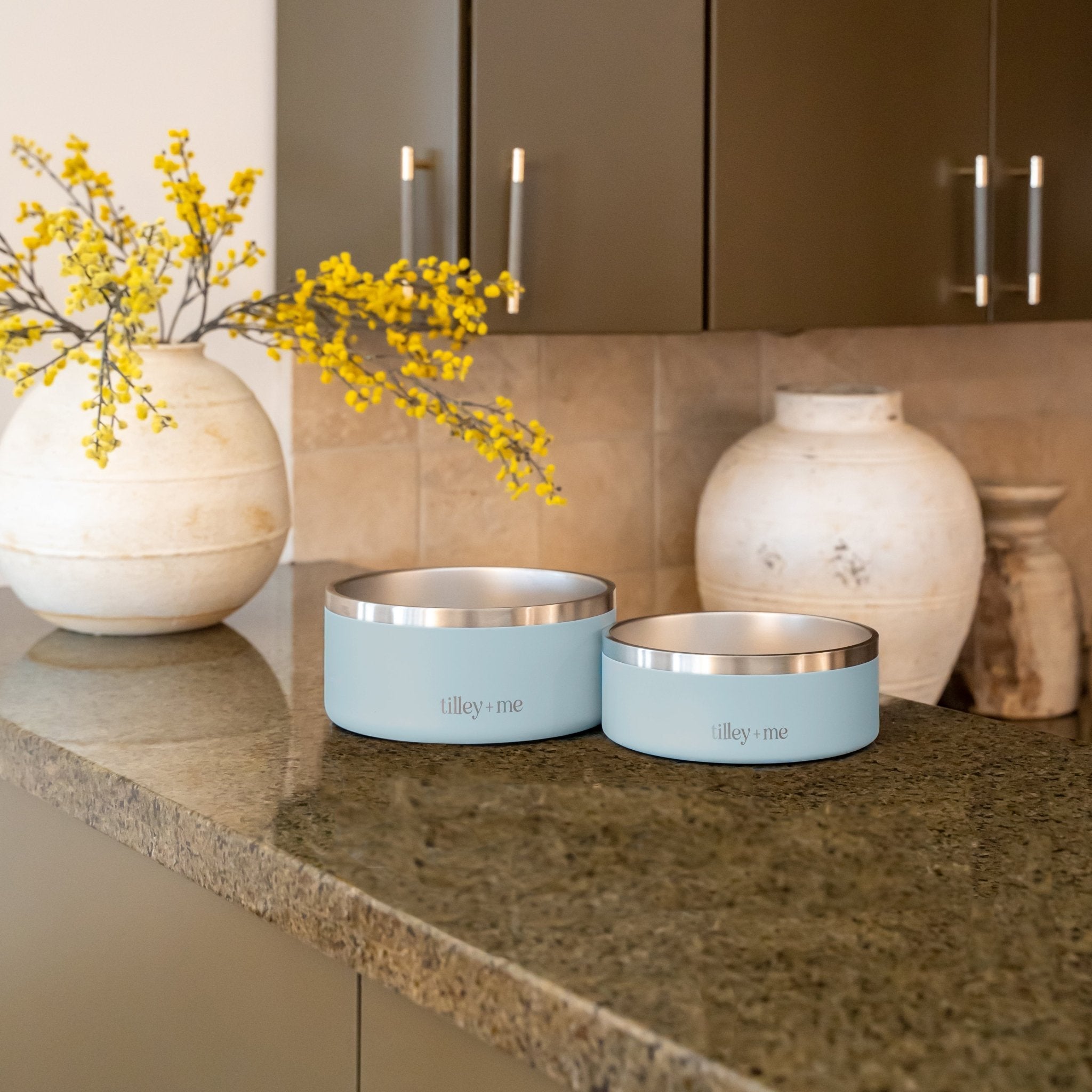 Stainless Steel Pet Bowl (Non-Slip, Dishwasher Safe)