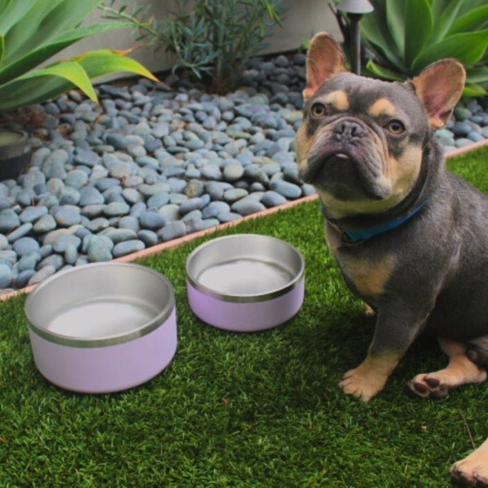 Stainless Steel Pet Bowl (Non-Slip, Dishwasher Safe)