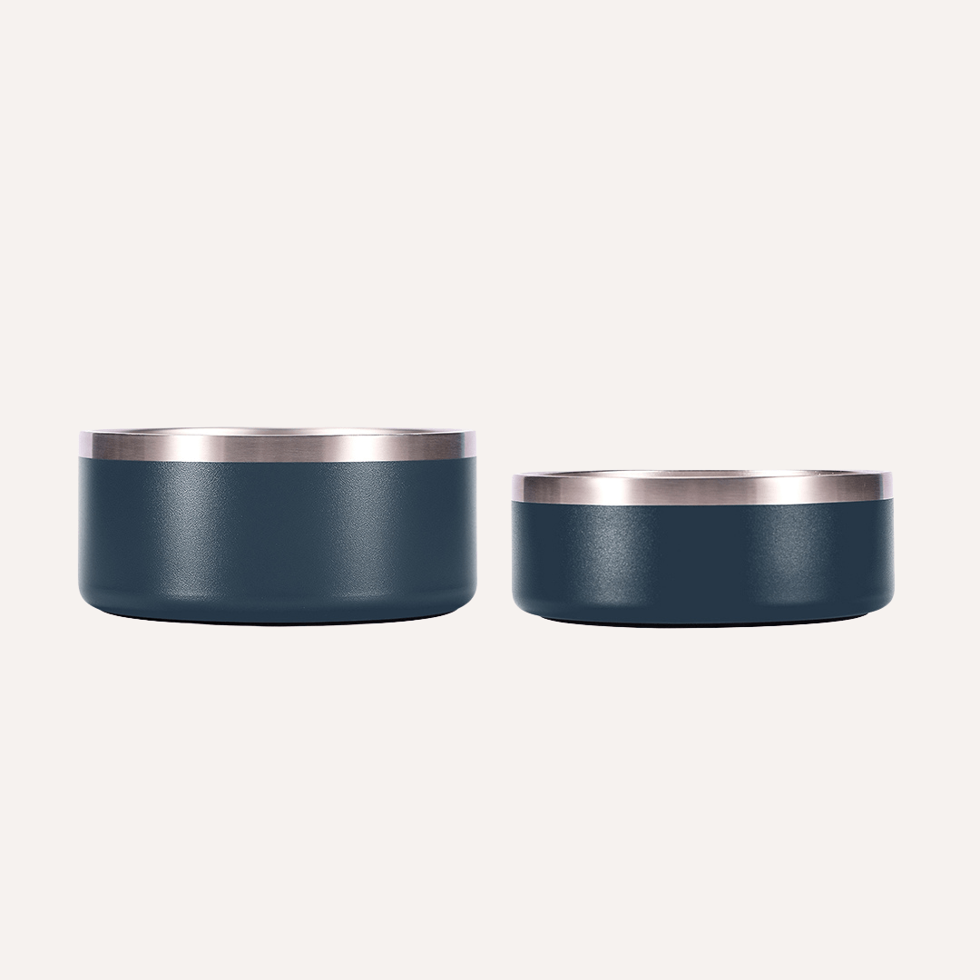 Stainless Steel Pet Bowl (Non-Slip, Dishwasher Safe)