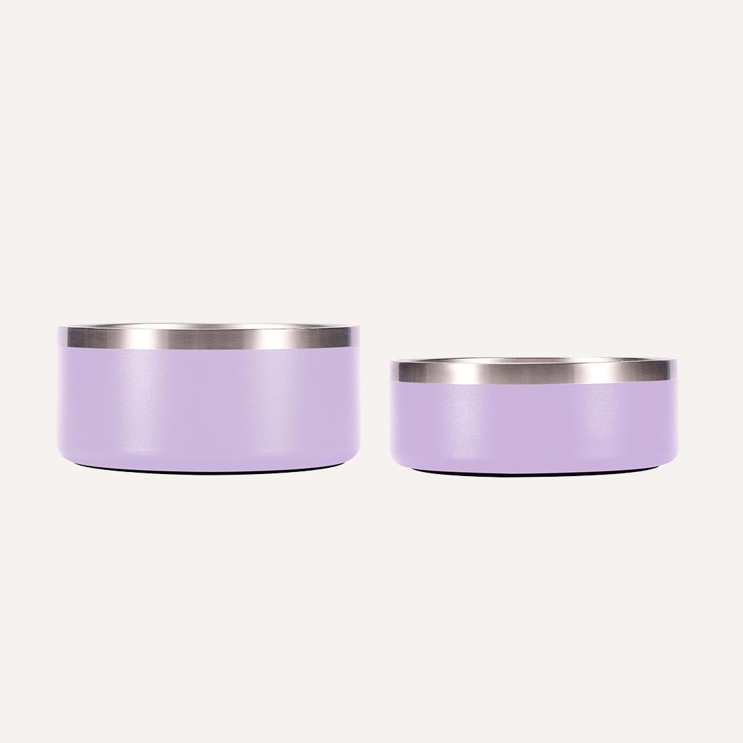 Stainless Steel Pet Bowl (Non-Slip, Dishwasher Safe)