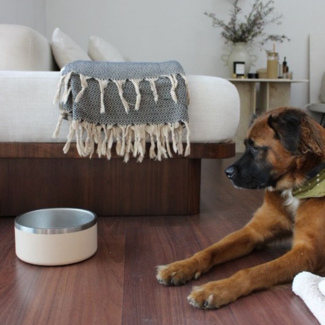 Stainless Steel Pet Bowl (Non-Slip, Dishwasher Safe)